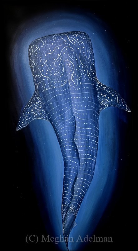 Whale Shark 