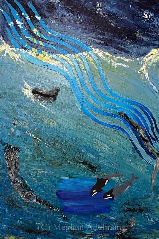Our Ocean 